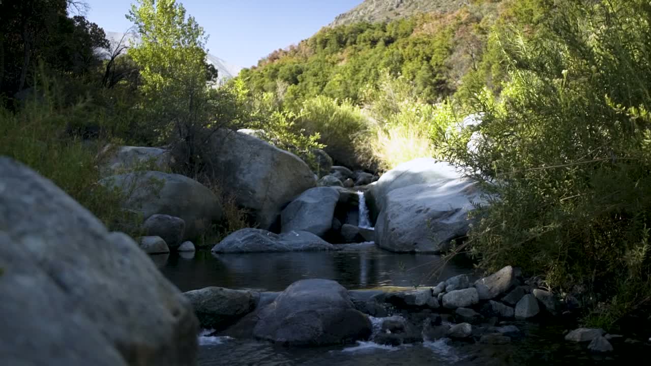 Región Metropolitana — Biodiversidad